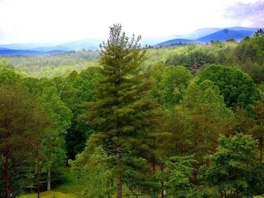 Long Mountain Lodge Bed & Breakfast ดาห์ลอนีกา ห้อง รูปภาพ